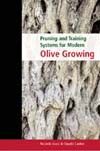 Pruning and Training Systems for Modern Olive Growing
